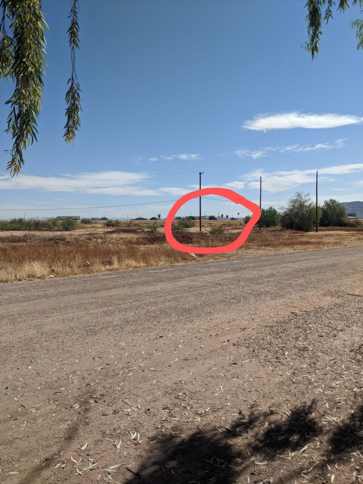 Picacho Elementary School